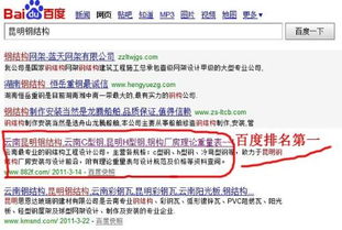 昆明網站建設的公司哪家好 最好能做了網站然后再附帶網站推廣服務的公司